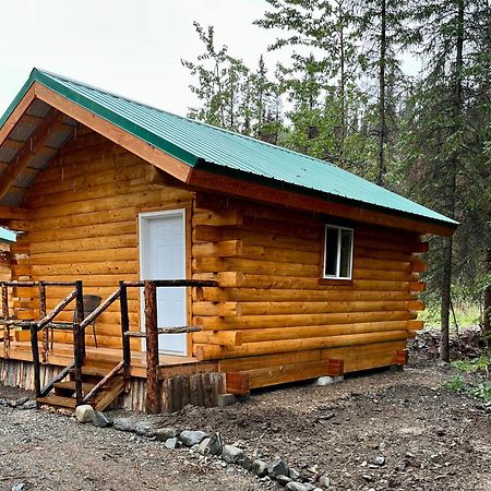 Denali Park Carlo Creek Cabins מראה חיצוני תמונה