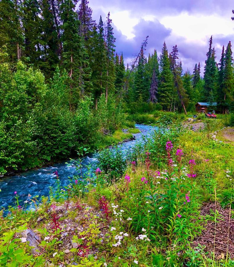 Denali Park Carlo Creek Cabins מראה חיצוני תמונה