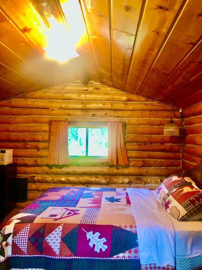 Denali Park Carlo Creek Cabins מראה חיצוני תמונה