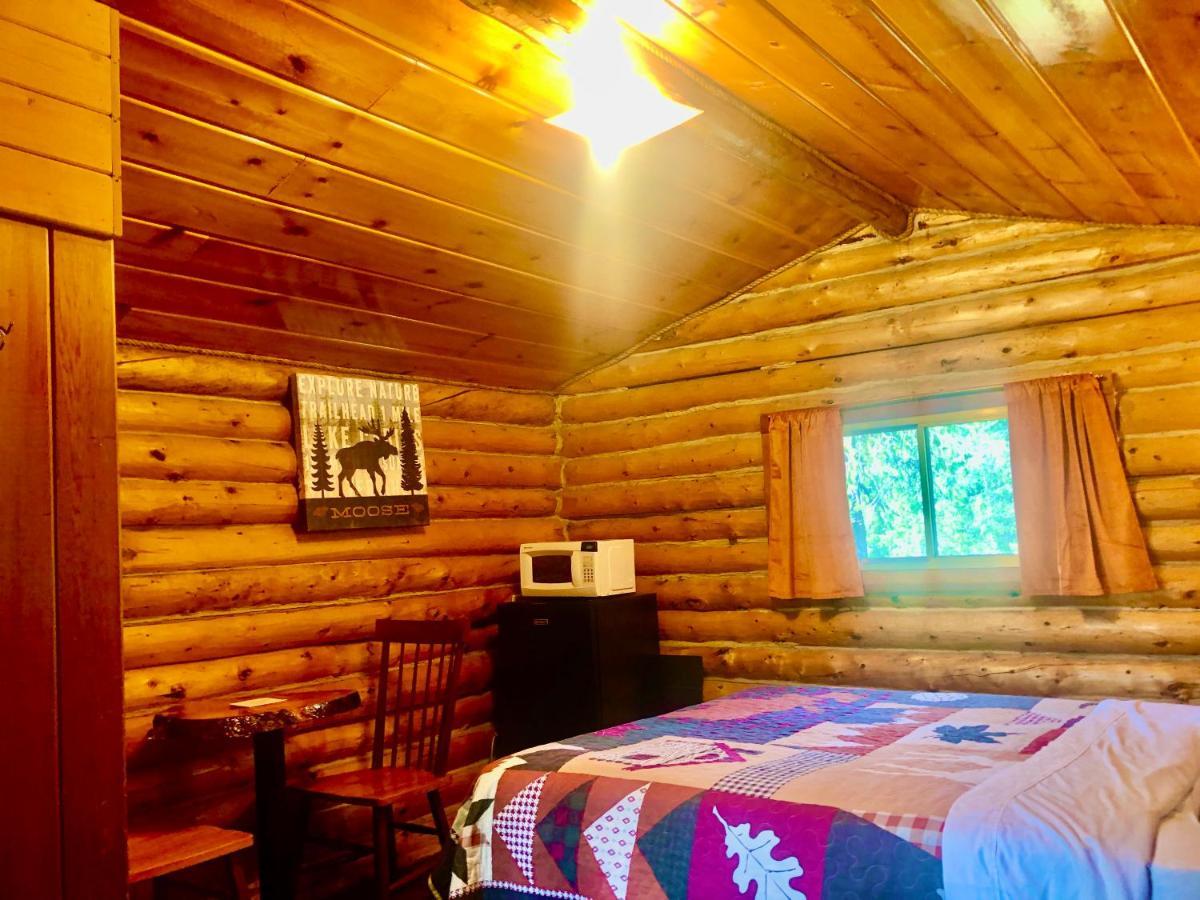 Denali Park Carlo Creek Cabins מראה חיצוני תמונה