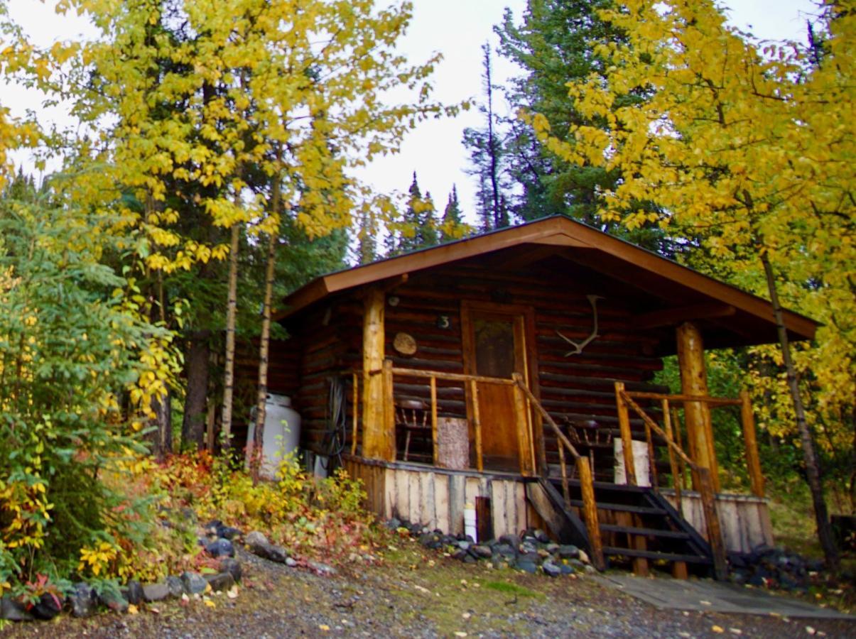 Denali Park Carlo Creek Cabins מראה חיצוני תמונה