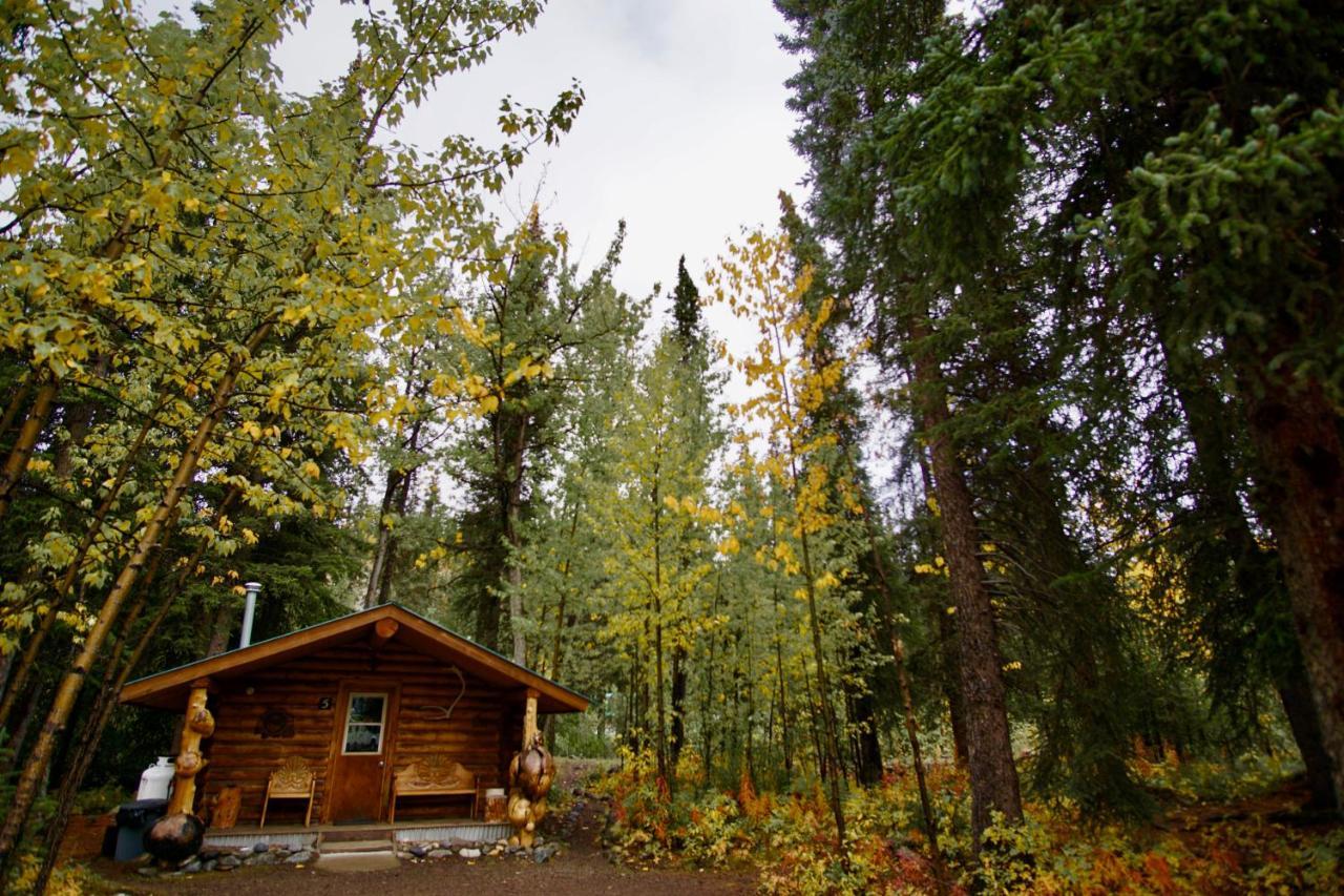 Denali Park Carlo Creek Cabins מראה חיצוני תמונה