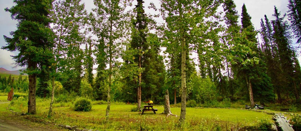 Denali Park Carlo Creek Cabins מראה חיצוני תמונה