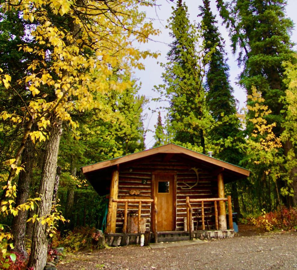 Denali Park Carlo Creek Cabins מראה חיצוני תמונה