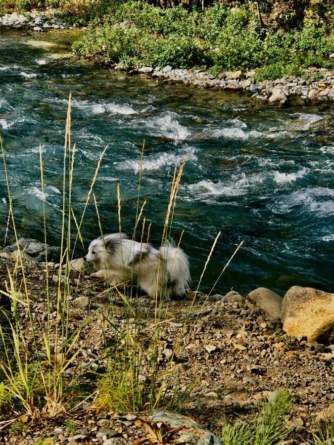 Denali Park Carlo Creek Cabins מראה חיצוני תמונה