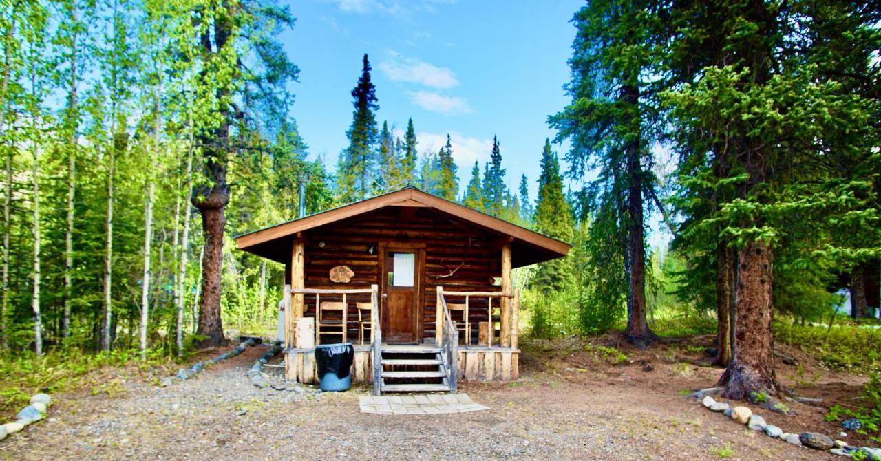 Denali Park Carlo Creek Cabins מראה חיצוני תמונה