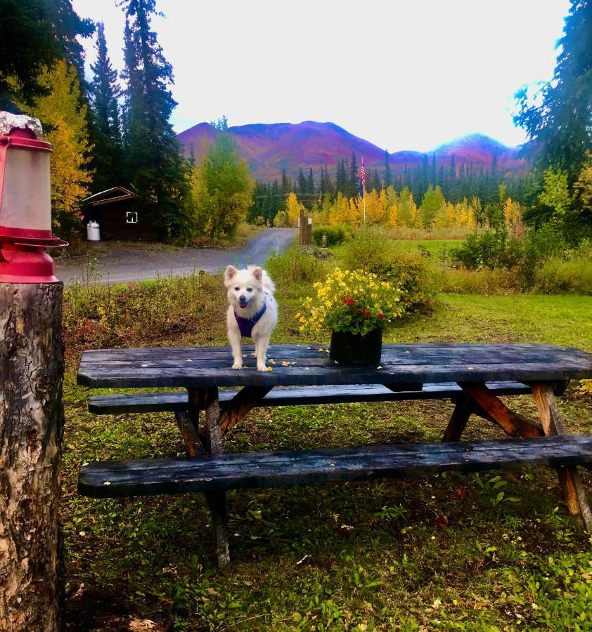 Denali Park Carlo Creek Cabins מראה חיצוני תמונה