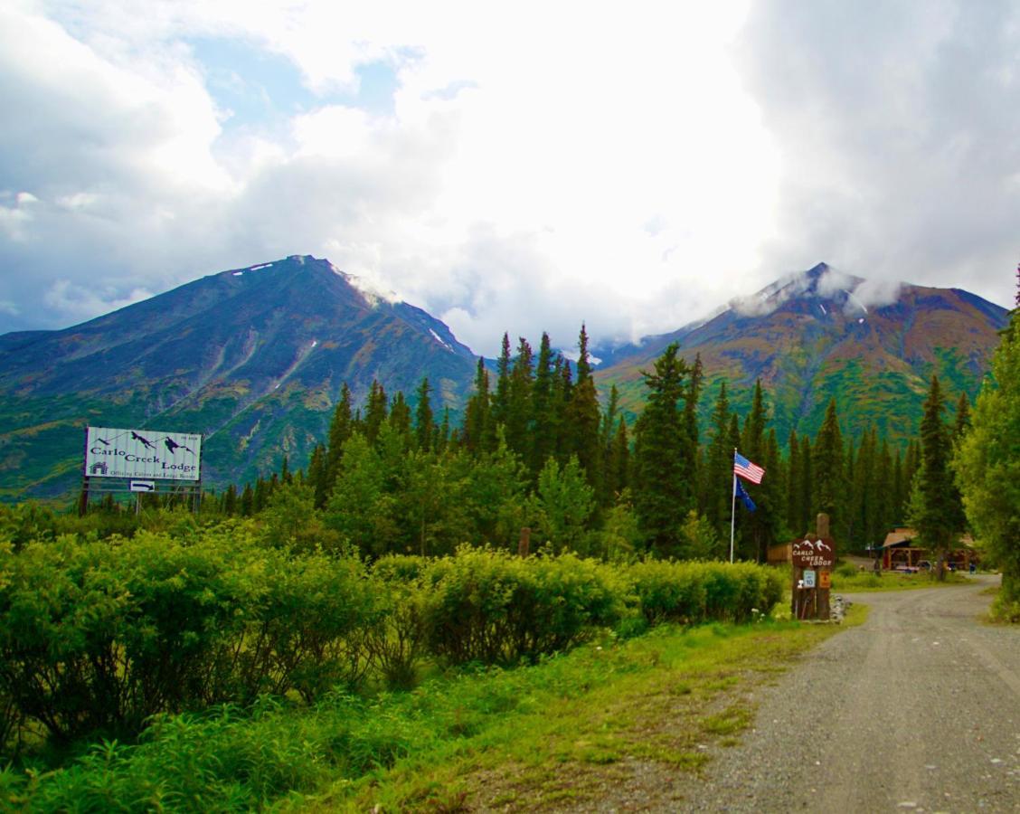 Denali Park Carlo Creek Cabins מראה חיצוני תמונה