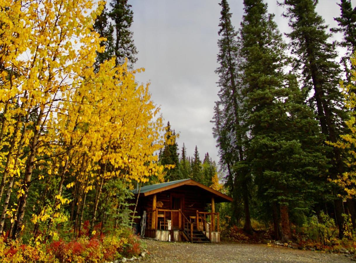 Denali Park Carlo Creek Cabins מראה חיצוני תמונה