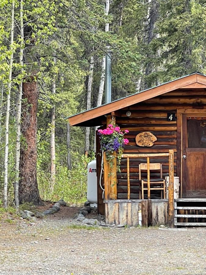 Denali Park Carlo Creek Cabins מראה חיצוני תמונה