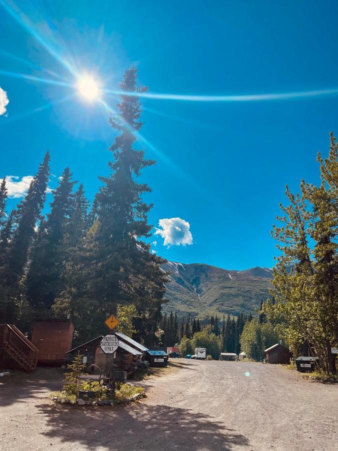 Denali Park Carlo Creek Cabins מראה חיצוני תמונה