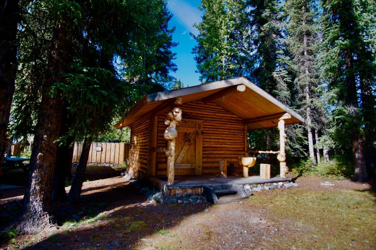 Denali Park Carlo Creek Cabins מראה חיצוני תמונה