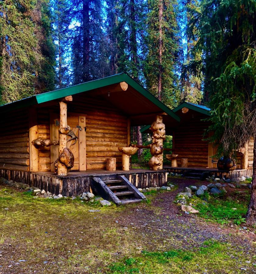 Denali Park Carlo Creek Cabins מראה חיצוני תמונה