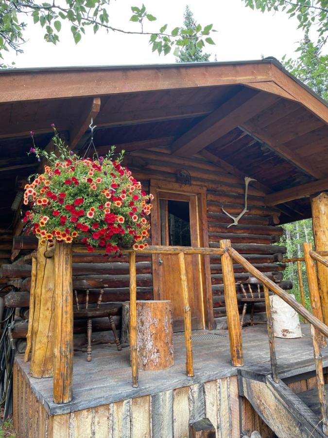 Denali Park Carlo Creek Cabins מראה חיצוני תמונה