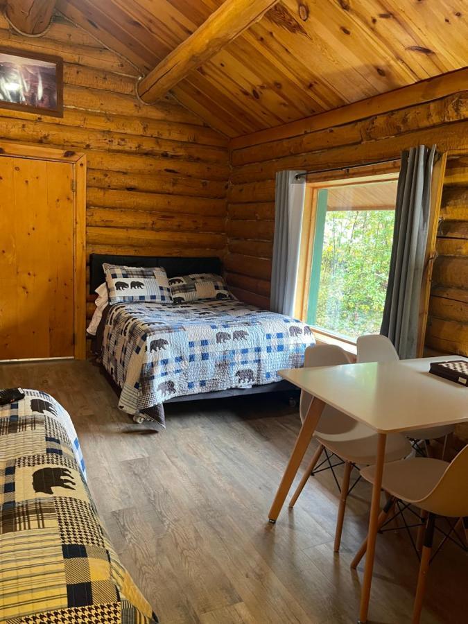 Denali Park Carlo Creek Cabins מראה חיצוני תמונה