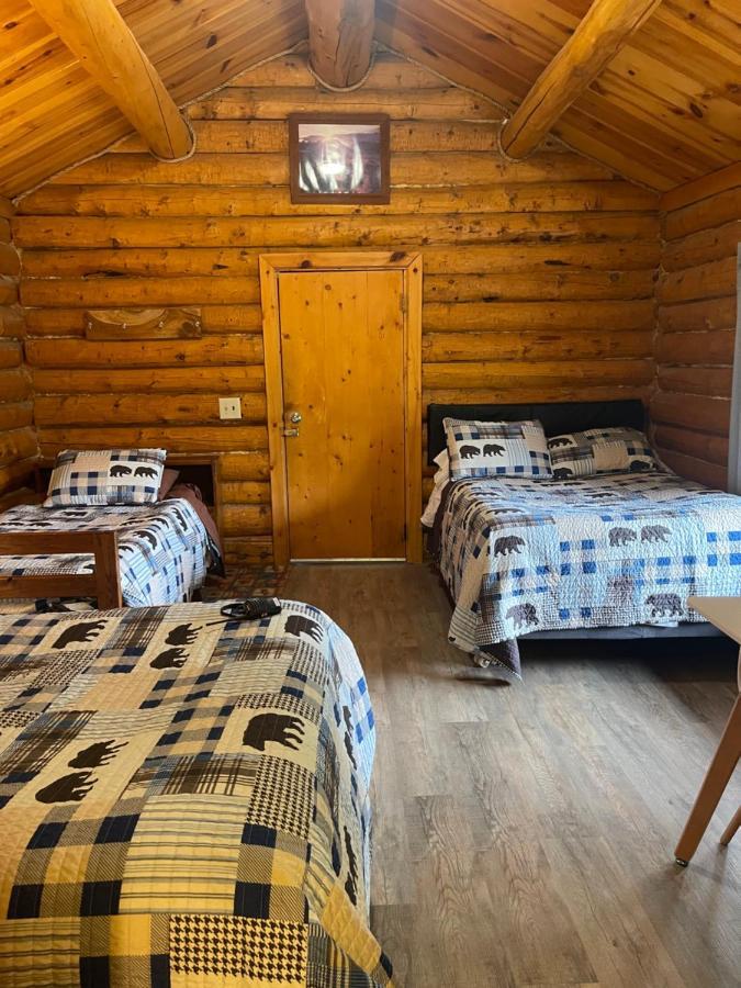 Denali Park Carlo Creek Cabins מראה חיצוני תמונה