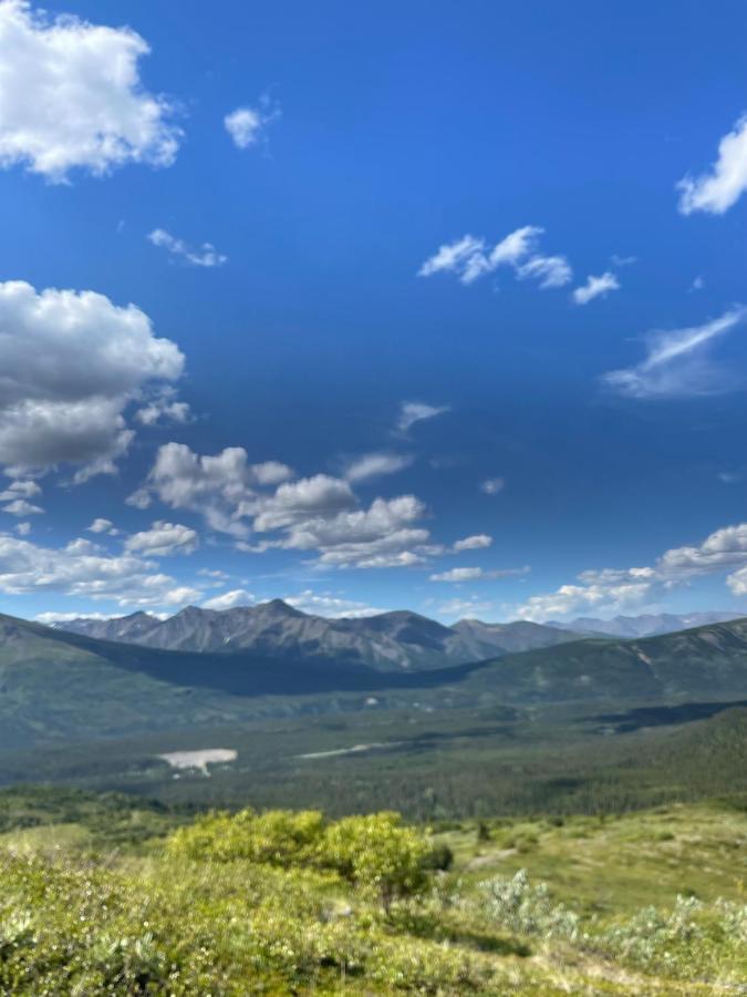 Denali Park Carlo Creek Cabins מראה חיצוני תמונה