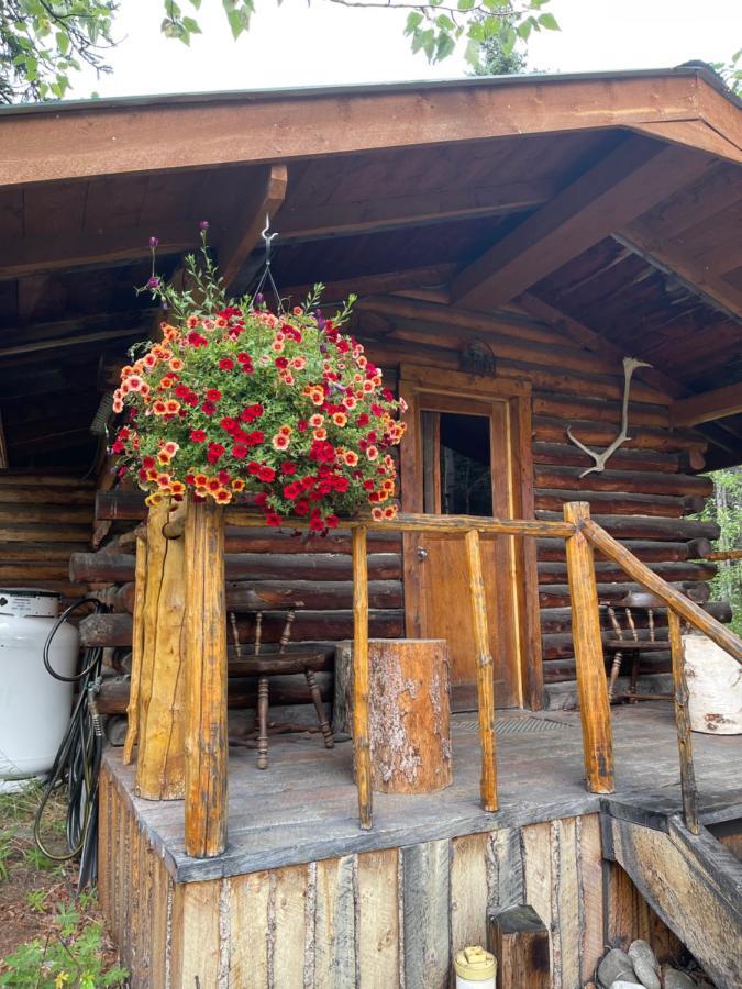 Denali Park Carlo Creek Cabins מראה חיצוני תמונה