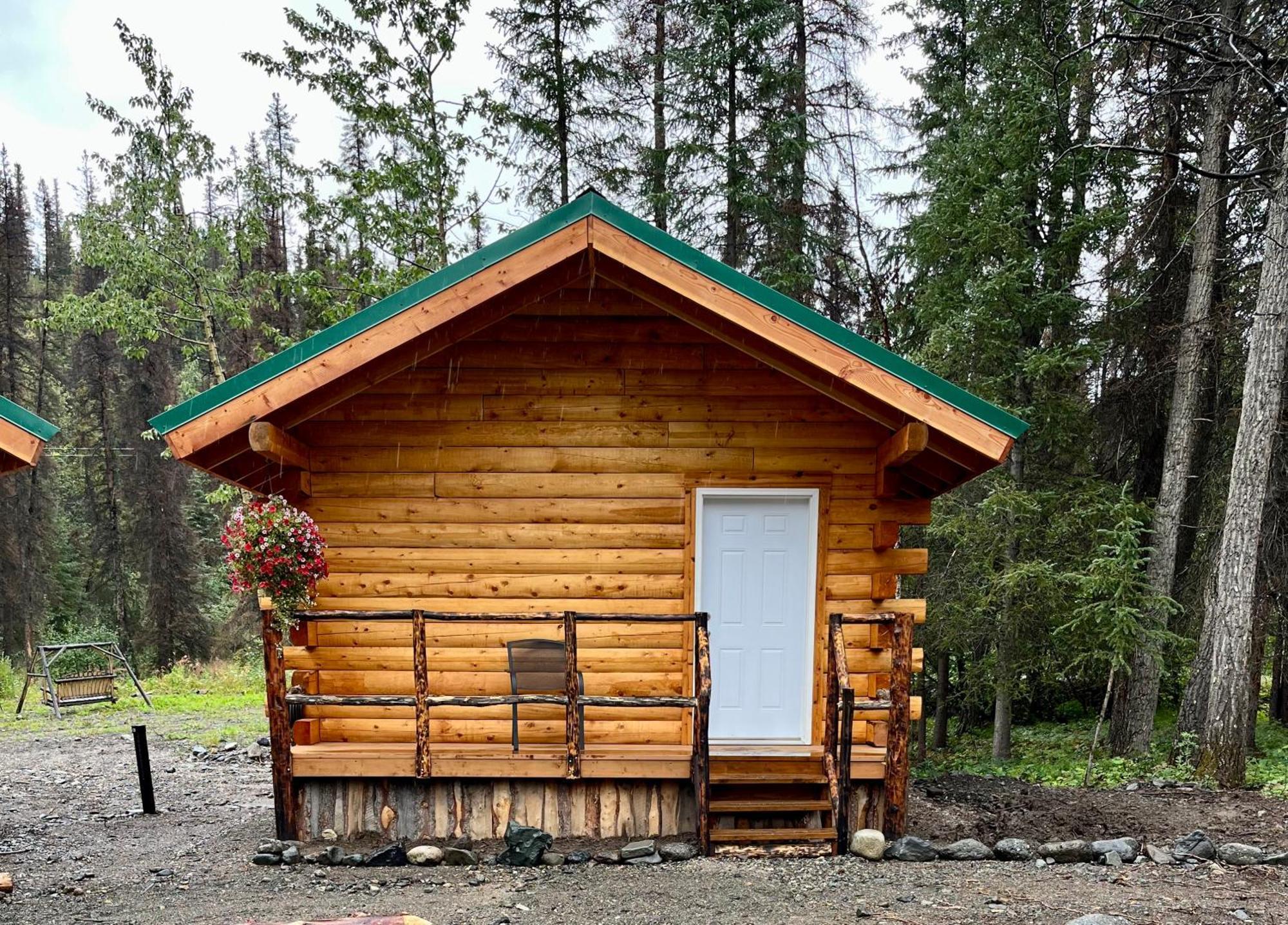 Denali Park Carlo Creek Cabins מראה חיצוני תמונה