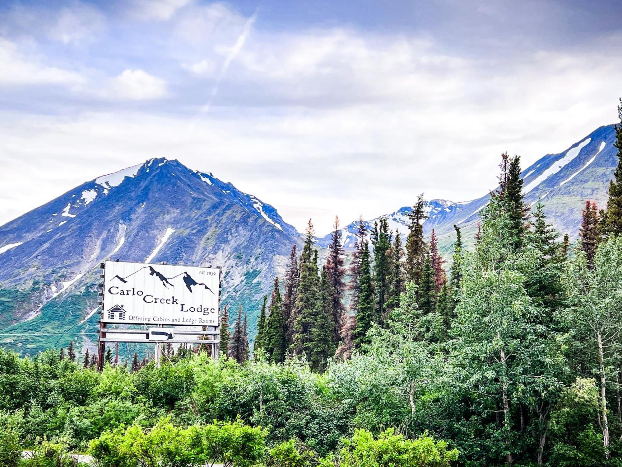 Denali Park Carlo Creek Cabins מראה חיצוני תמונה