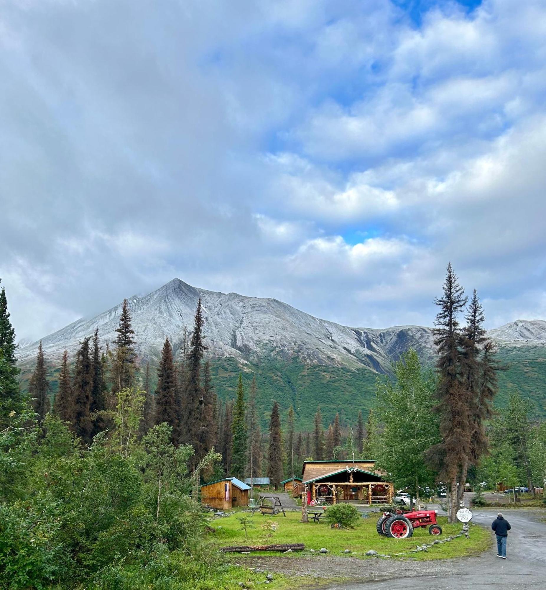 Denali Park Carlo Creek Cabins מראה חיצוני תמונה