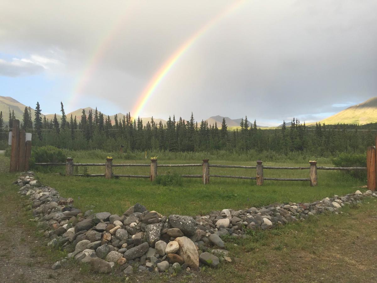 Denali Park Carlo Creek Cabins מראה חיצוני תמונה