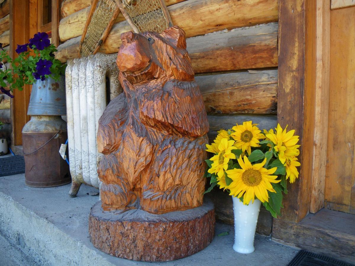 Denali Park Carlo Creek Cabins מראה חיצוני תמונה