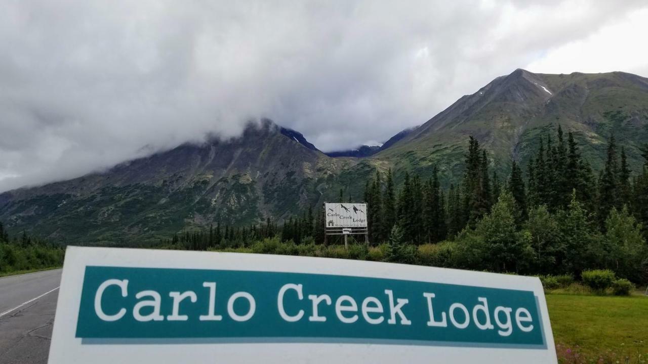 Denali Park Carlo Creek Cabins מראה חיצוני תמונה