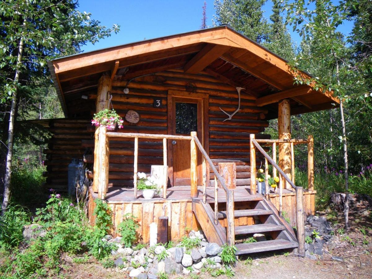 Denali Park Carlo Creek Cabins מראה חיצוני תמונה